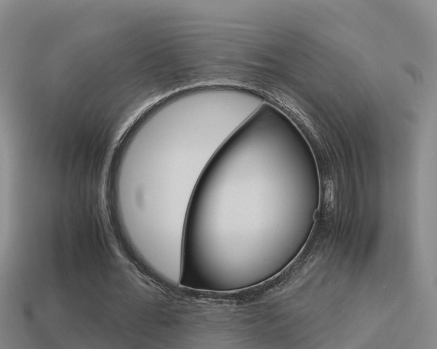 X0000114620676200910201002