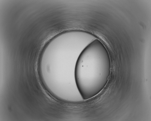 X0000114620677200910201002