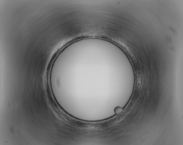 X0000114620678200910201002