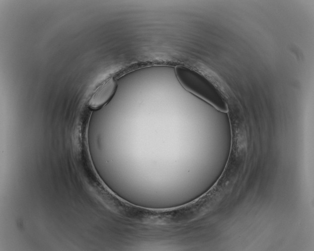 X0000114620680200910201002