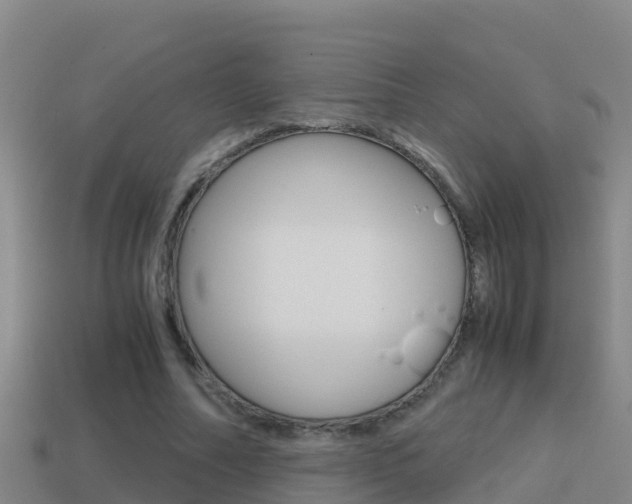 X0000114620682200910201002