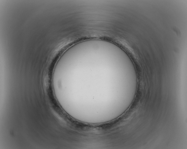 X0000114620683200910201002
