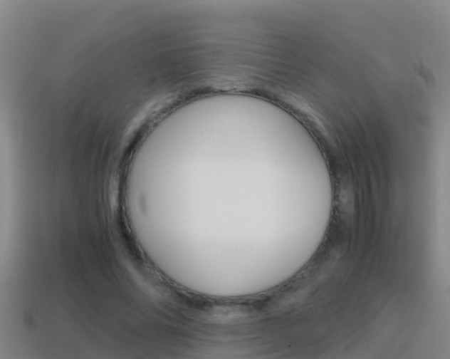 X0000114620686200910201002