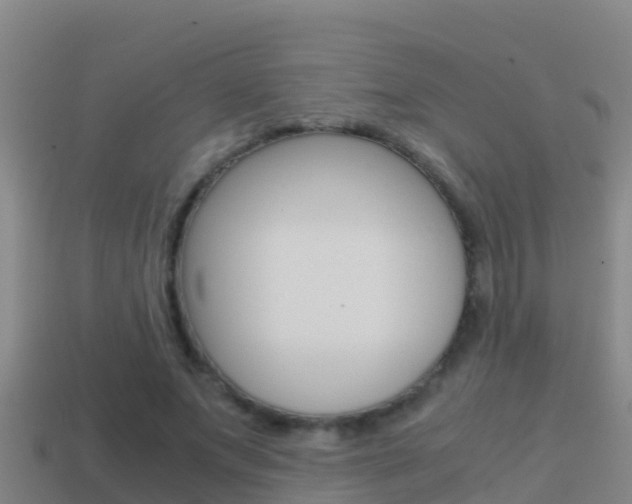 X0000114620687200910201002