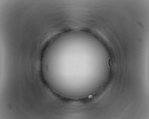 X0000114620689200910201002