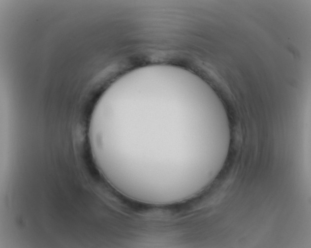 X0000114620691200910201002