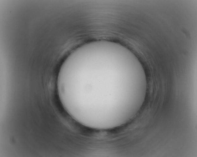 X0000114620695200910201002