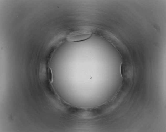 X0000114620696200910201002