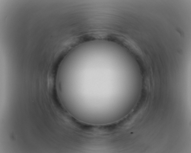 X0000114620697200910201002