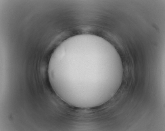 X0000114620698200910201002