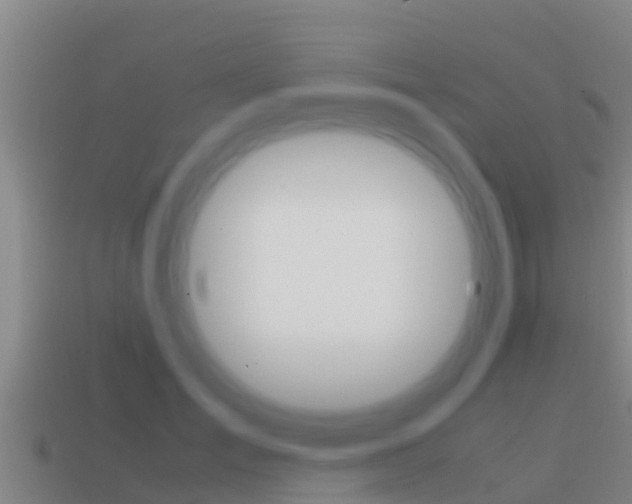 X0000114620701200910201002