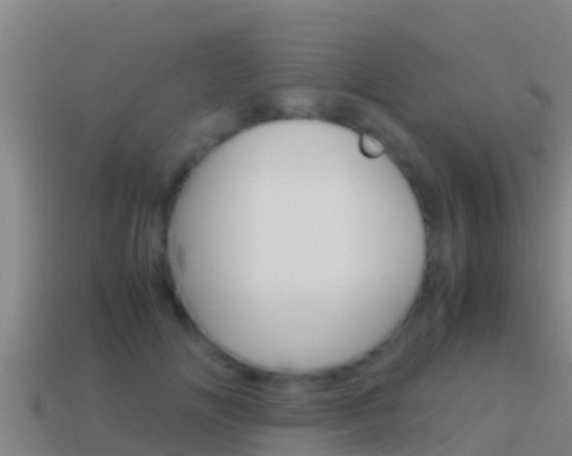X0000114620702200910201002