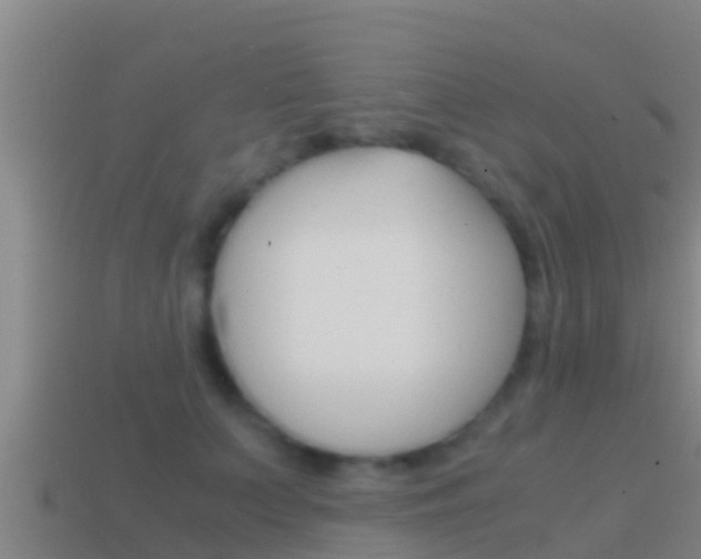 X0000114620703200910201002