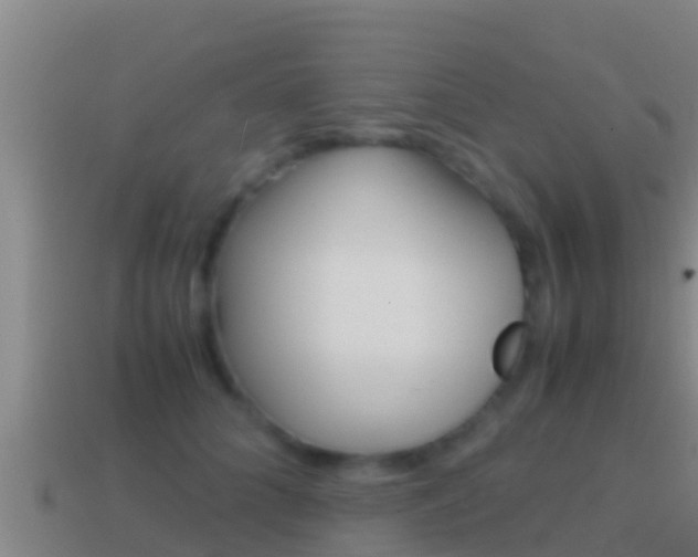 X0000114620704200910201002
