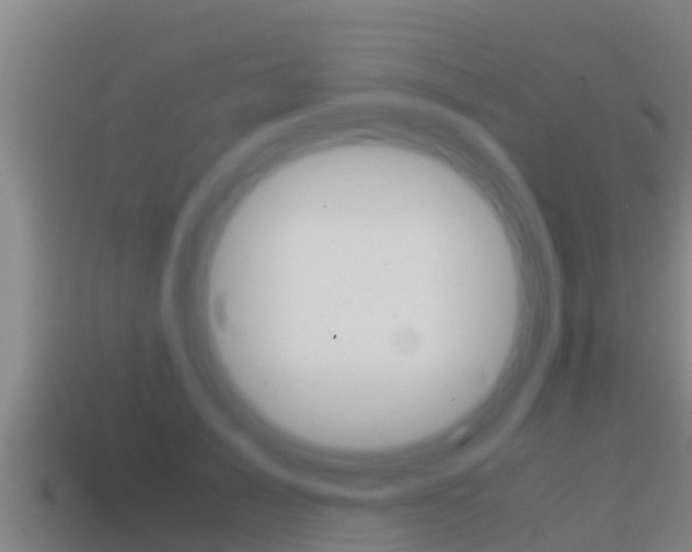 X0000114620705200910201002
