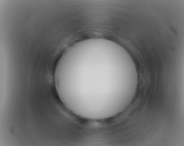 X0000114620706200910201002