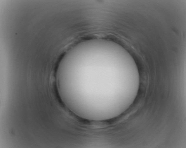 X0000114620707200910201002