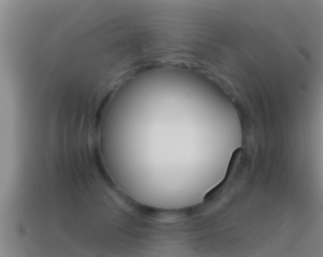 X0000114620708200910201002