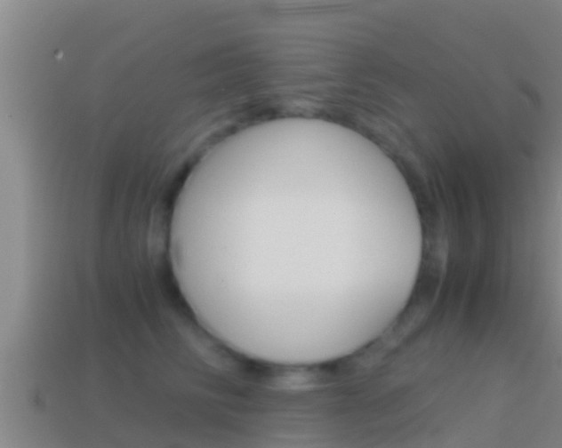 X0000114620710200910201002