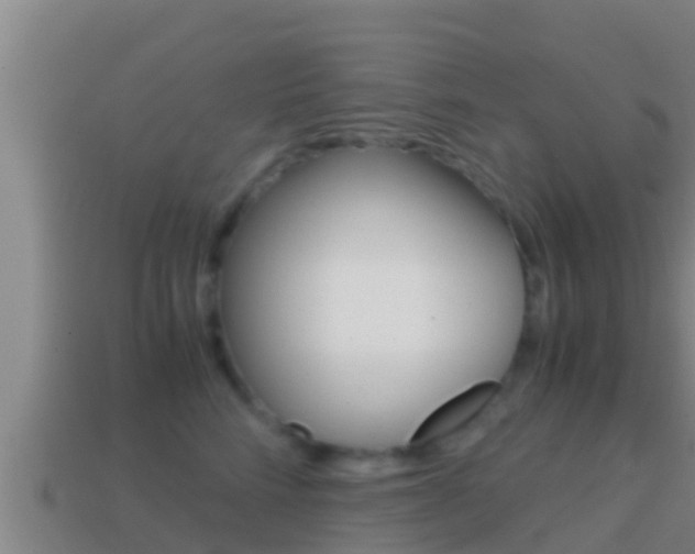 X0000114620712200910201001