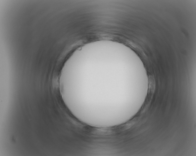 X0000114620713200910201001