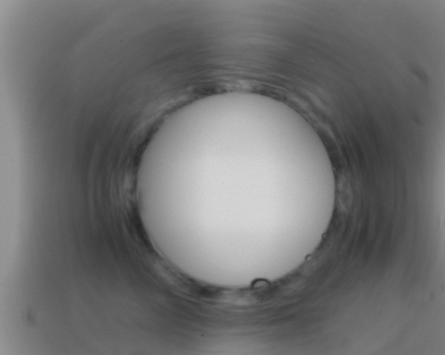 X0000114620714200910201001