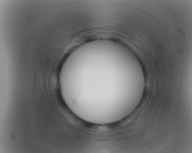 X0000114620715200910201001