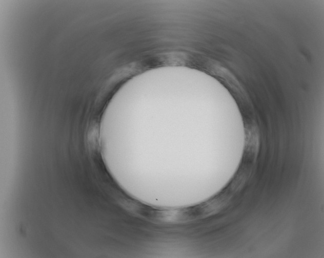 X0000114620717200910201001
