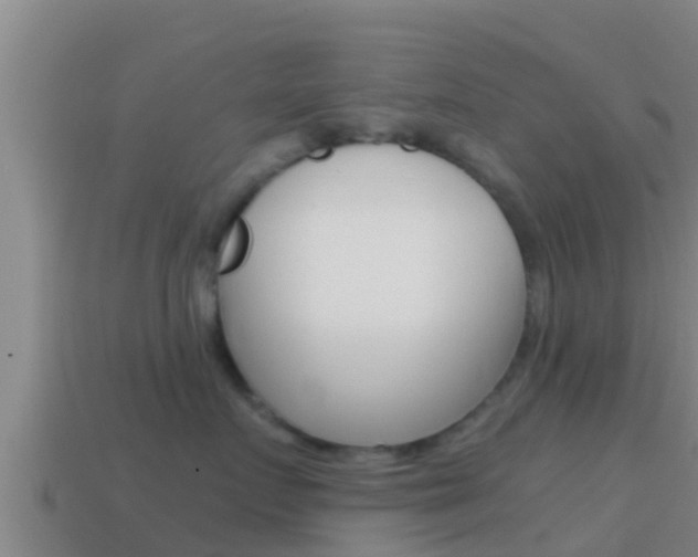 X0000114620719200910201001
