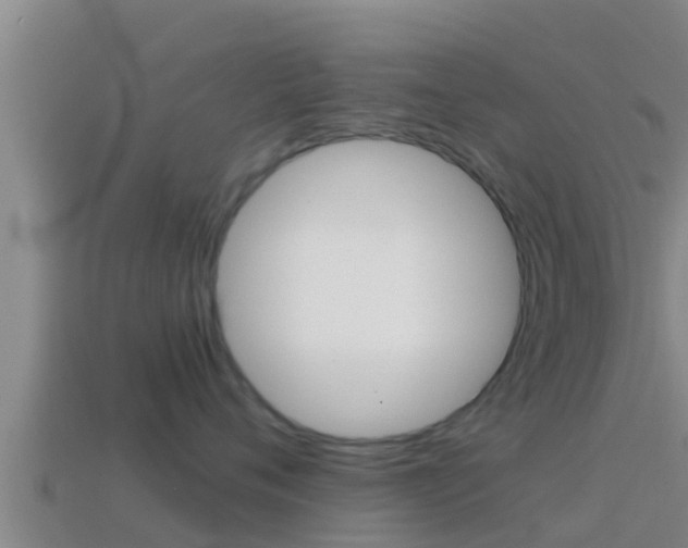 X0000114620720200910201001