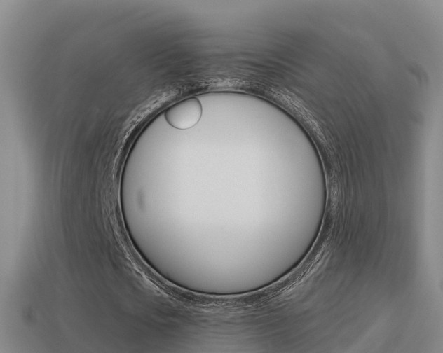 X0000114620721200910201001