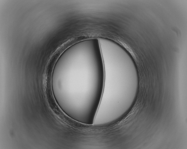 X0000114620722200910201001
