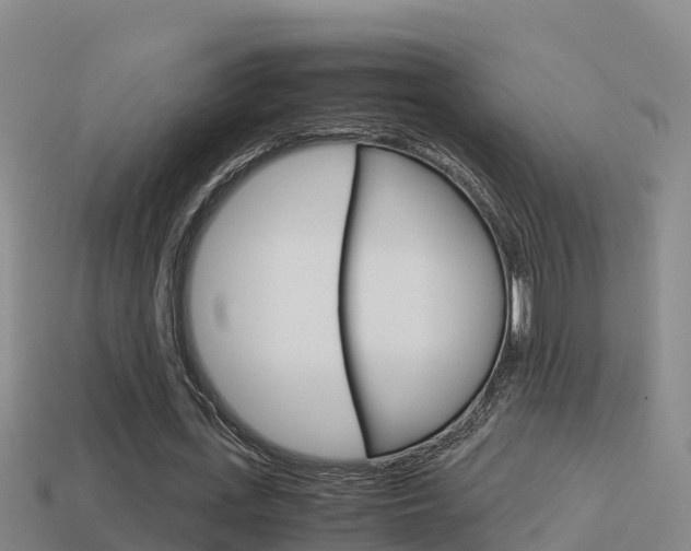 X0000114620723200910201001