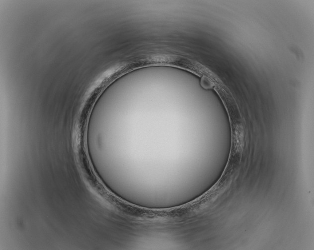 X0000114620726200910201001