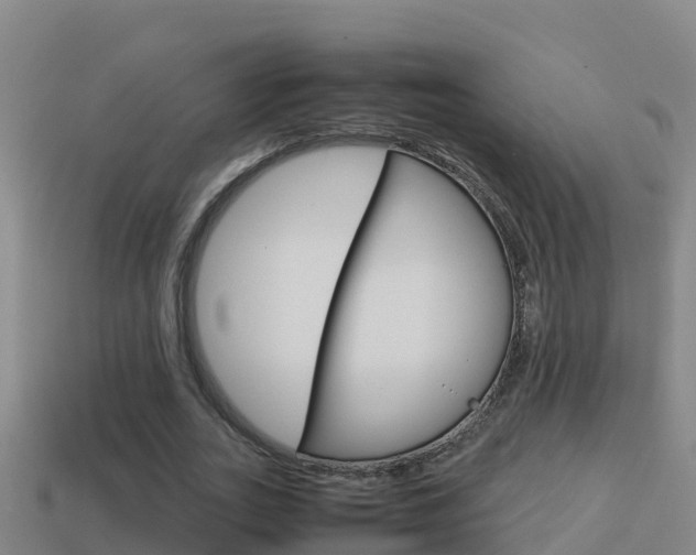 X0000114620727200910201001
