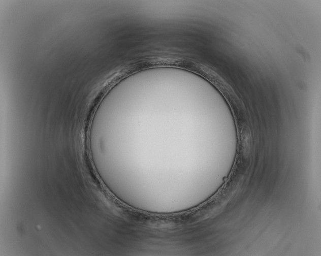 X0000114620729200910201001