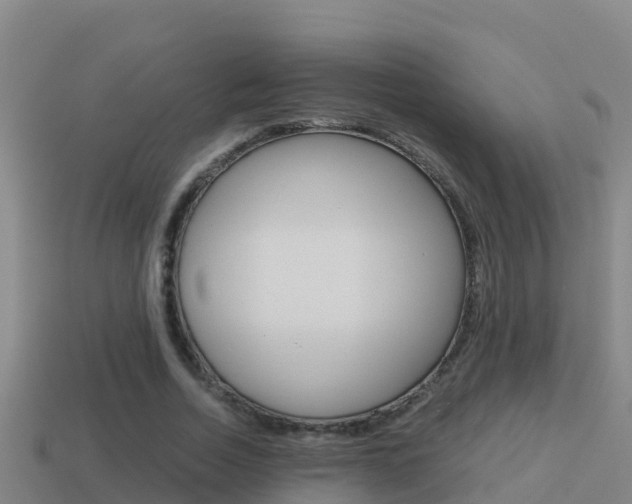 X0000114620730200910201001