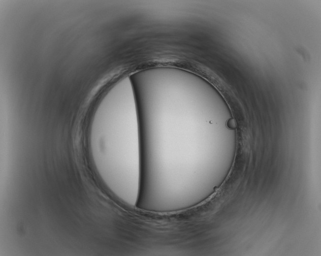 X0000114620731200910201001