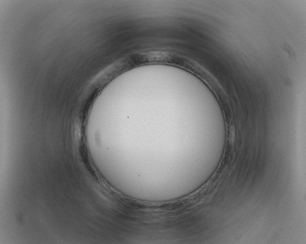 X0000114620733200910201001