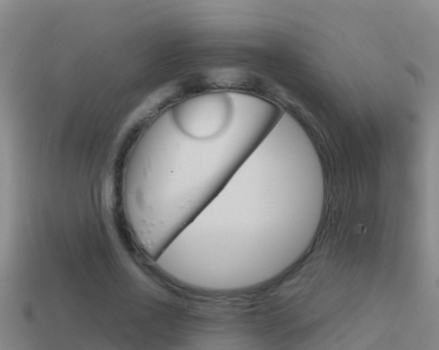 X0000114620734200910201001