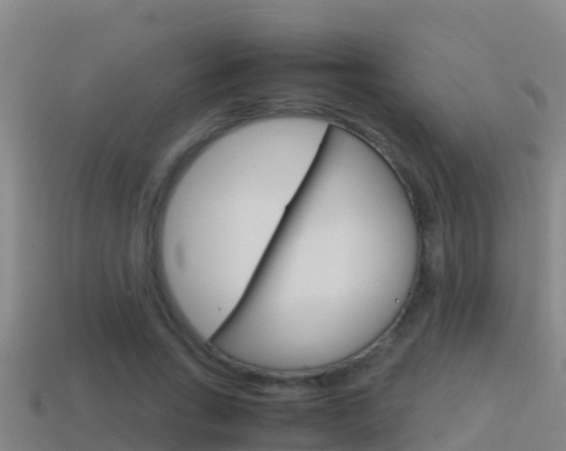 X0000114620735200910201001