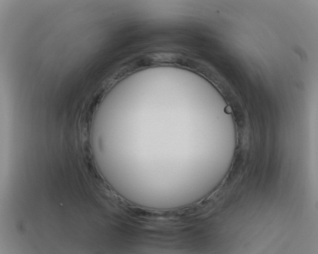 X0000114620737200910201001