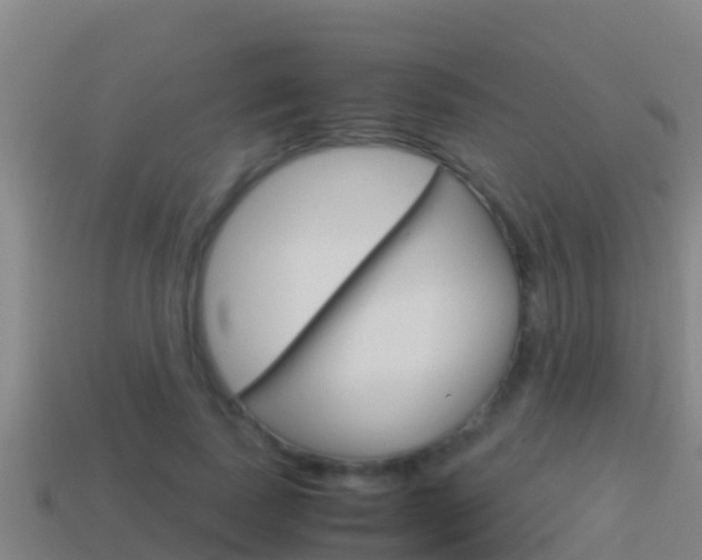 X0000114620739200910201001