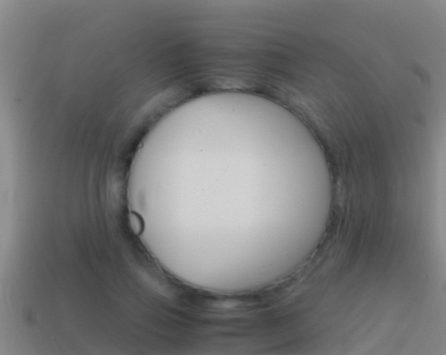 X0000114620741200910201001