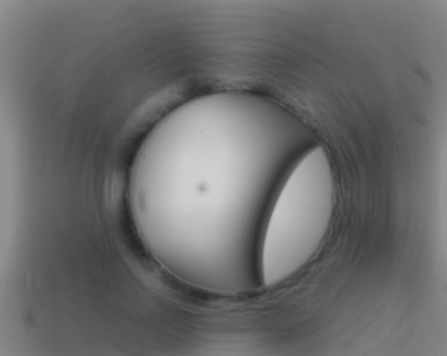 X0000114620742200910201001