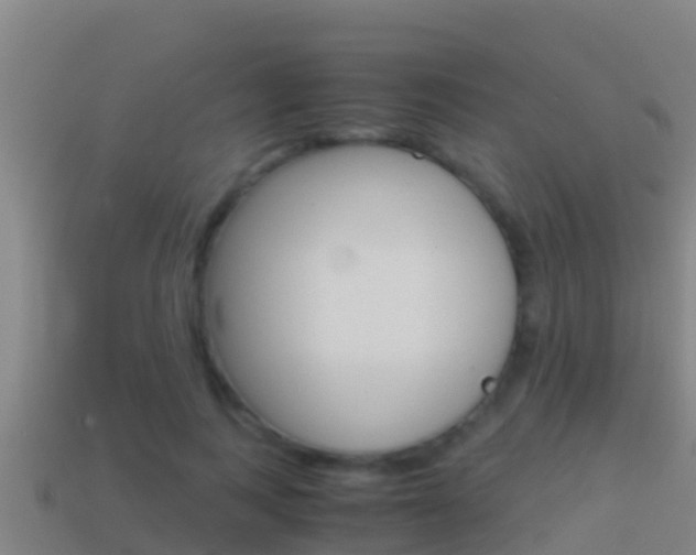 X0000114620743200910201001