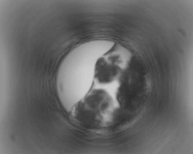 X0000114620745200910201001