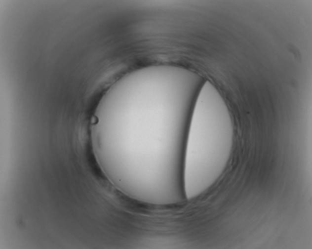 X0000114620746200910201001