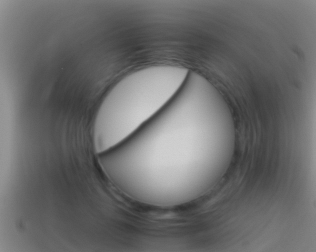 X0000114620747200910201001