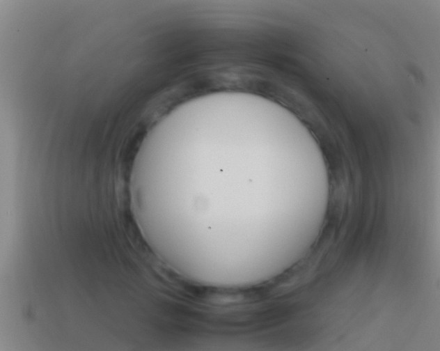 X0000114620749200910201001
